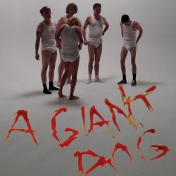 Dammit Pomegranate / Can’t Complain