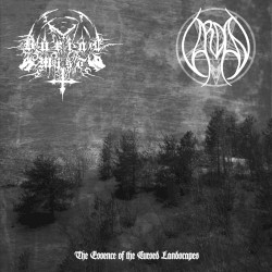 The Essence of the Cursed Landscapes