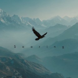 Soaring