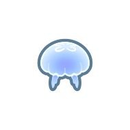 A Day in the Life of a Moon Jelly