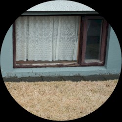 An Ecology of Silence