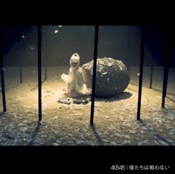 僕たちは戦わない