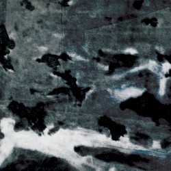 A MURDER OF CROWS