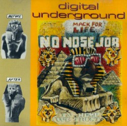 No Nose Job