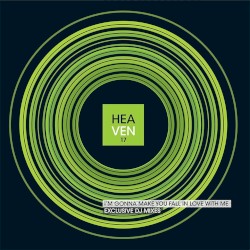 I’m Gonna Make You Fall in Love With Me (DJ remixes)