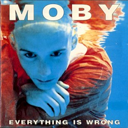Everything Is Wrong