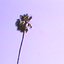 used to know you/aerobics