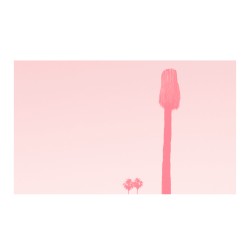 A Ravishment of Mirror