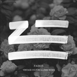 Faded (Vintage Culture & Zerb remix)