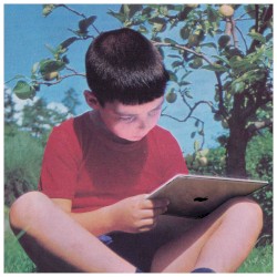 Intro (Creatures of Habit)