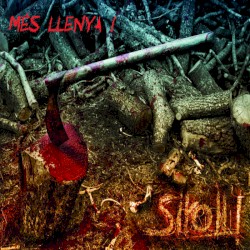 Mes Llenya!