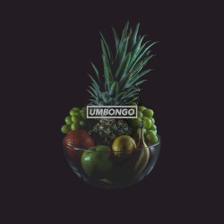 Umbongo