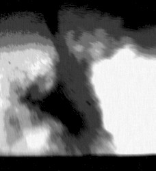 021: He Left Us All to Perish and Rot Away