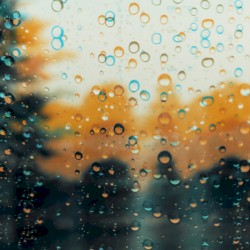 These Strange Halcyon Days