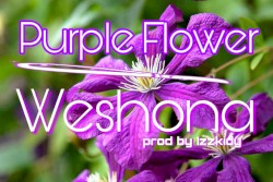 Purple Flower