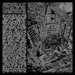 ALEXALONE TECHNICAL RESEARCH