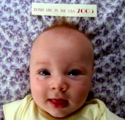 Live in the USA 2003