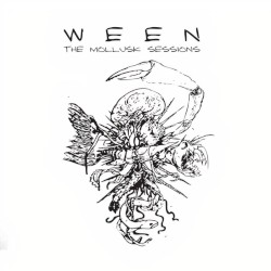 The Mollusk Sessions