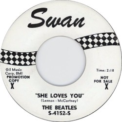 She Loves You / I’ll Get You