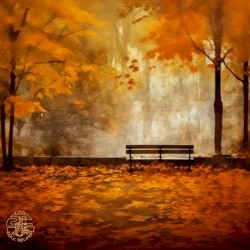 Changing Seasons