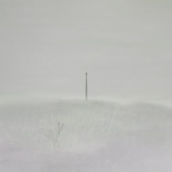 and departt from mono games