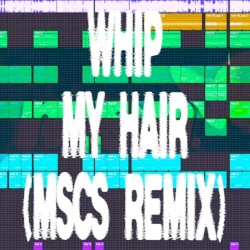 WHIP MY HAIR (MSCS REMIX)