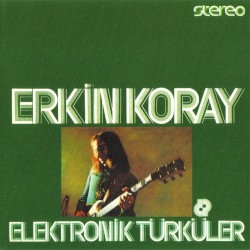 Elektronik Türküler