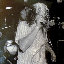 My Chartreuse Opinion