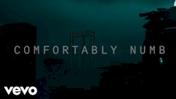 Comfortably Numb 2022