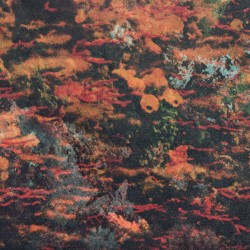 Naissance Aux Mondes Invisibles