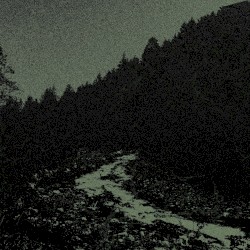 A Night by the Stream