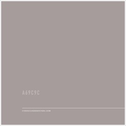 A69C9C