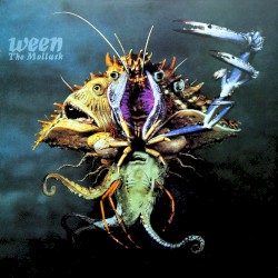The Mollusk