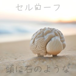 頭に石のような (Like a Stone to the Head)