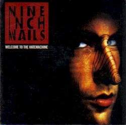 Welcome to the Hatemachine