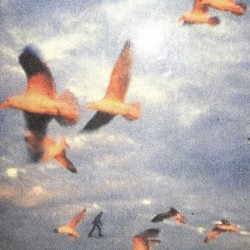 United in Flames 26/03/2019