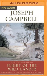 The Flight of the Wild Gander: Explorations in the Mythological Dimension
