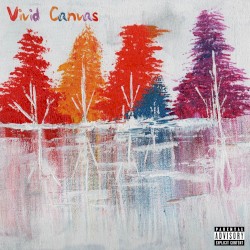 Vivid Canvas