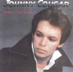 Chestnut Street Incident