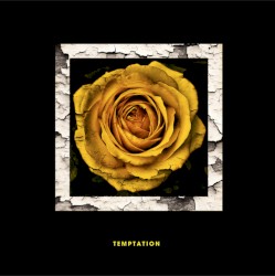 Temptation (Cinnamon Chasers Remix)