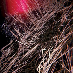 Chain Reaction at Dusk