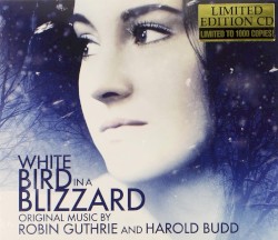 White Bird in a Blizzard