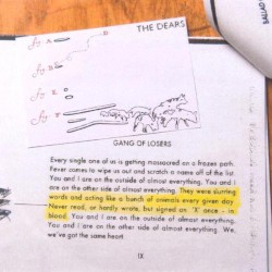 You and I Are a Gang of Losers