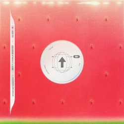 Watermelon Sugar (ASIA RISING FOREVER)