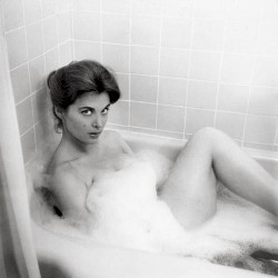 You Are Free, but You Are Alone