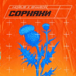 Сорняки