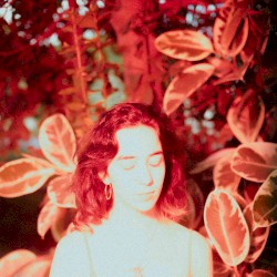 Forest (demo version)