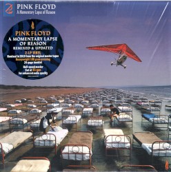 A Momentary Lapse of Reason