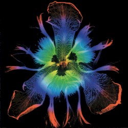 DICTATORS CIRCUS −奇術的旋律−