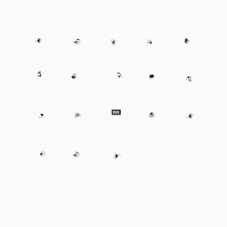 FatCat Split Series #17